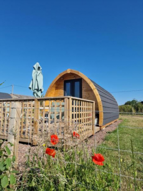 Jerusalem Farm Pods